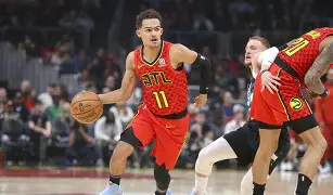 巨型大王虎甲 巨型大王虎甲